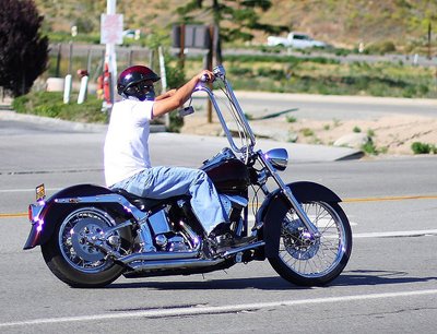 Harley bike