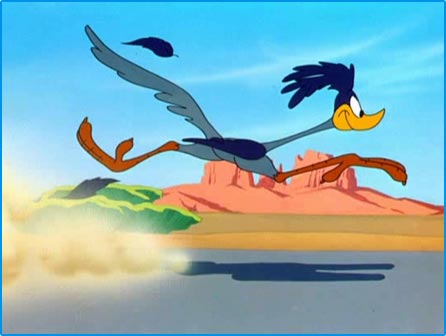 Road runner